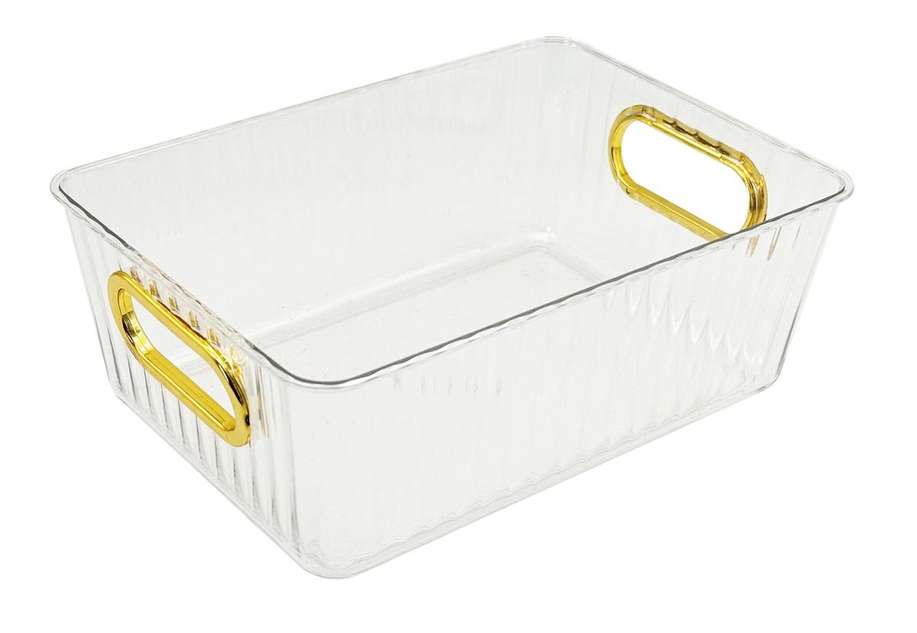 Plastic Storage Gold Handles Small