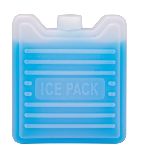 [13315] Ice Block 2 x 100ml