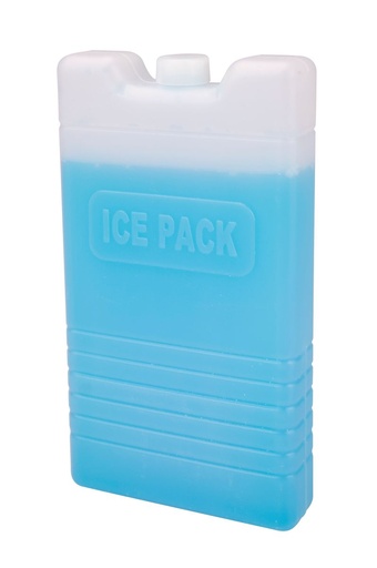 [13317] Ice Block 2 x 400ml