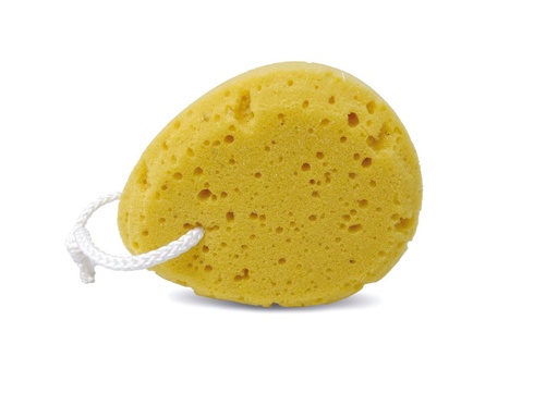 [BA16701] Body Sponge
